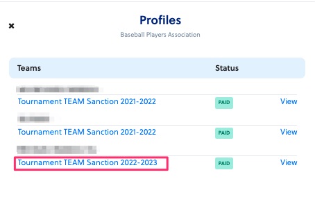 Sanction_team.jpg